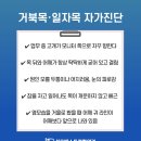 성모정형외과 앞 이미지