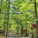 학가산우래자연휴양림 이미지