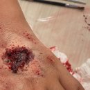 순천대석초등학교 이미지