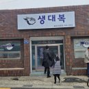 생대복 티스토리