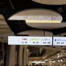 977 | 티웨이 항공 서울 김포 부산 김해 공항 국내선 B787-800 TW977 좌석 지정 체크인 비상구 좌석 탑승 후기