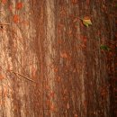 그 해 가을 이미지