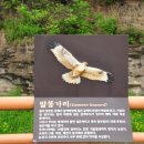 매류연 이미지