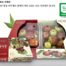 보은바이크 이미지