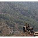 사랑컴퓨터 이미지