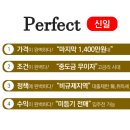 루츠(ROOTS) 이미지