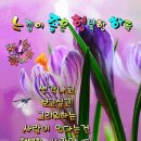 느낌 이미지