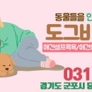 도그비잉펫케어 이미지