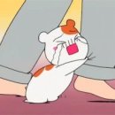 고칸본점 이미지