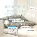 제4산단로L | 오아 포그밍L 전기담요 코듀 사용후기｜사무실·캠핑 휴대용 무릎담요 추천