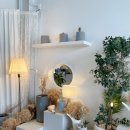 파주골토박이순두부 이미지