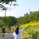 도림천 산책로4 이미지