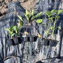 함열농약사 이미지