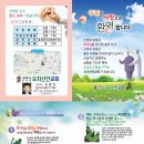 신안교회