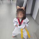 K스타 태권도장 이미지