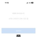 사카나 이미지