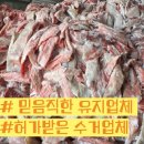 은비세탁 이미지