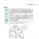 쌍자엽식물과 단자엽식물의 기공 배열 질문 이미지