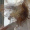 그녀의파스타 이미지