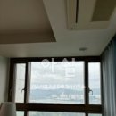 미스터공인중개사사무소 이미지