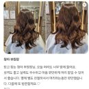 청아살롱 이미지