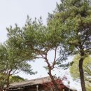 이대감순대국 이미지