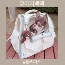 고려안전연구원 | 강아지백팩 추천 플리다스 코지 양문형 반려동물 이동가방 후기