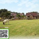 요한농장 이미지