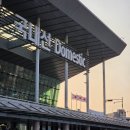 동백해비치펜션 | 제주도 벚꽃 말고 유채꽃