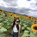 에이치.피.아이 이미지