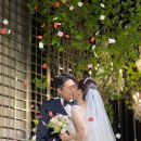 안경나라(도동점) | 신혼여행_파리1,2일차_디즈니랜드 파리