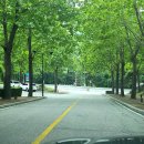 척산족욕체험장 이미지