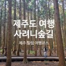 남조로 사려니숲길입구 | 제주도 여행 제주 사려니숲길 주차 운영시간 데크 산책로 완벽 정리