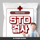에스티디(STD)