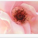 마가렛직업재활원 이미지