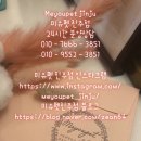 진주강아지분양 고양이분양 미유펫 이미지