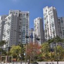 대치1-113 이미지