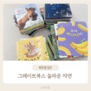 생태세밀화 | [책육아] 두 돌 아기 책육아 추천템✨ 그레이트북스 &#39;놀라운 자연&#39; 18개월 아기 후기