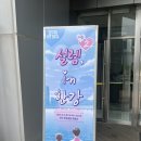 한강 | 설렘인한강 후기 시즌2 매칭 데이트 지원