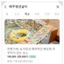 제주청년살이 이미지