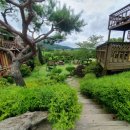 메이플펜션 이미지