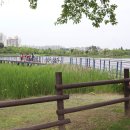 삼산게이트볼장 | 부천 가볼만한곳 상동호수공원 외 3곳 경기도 주말 나들이