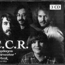 씨씨알(주) 이미지