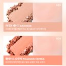 리뷰 : 쿨톤 웜톤 VDL 치크스테인 블러셔 후기(feat. VDL 퍼퓸핸드크림)