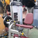 cybex 웨이트기구 팝니다 이미지