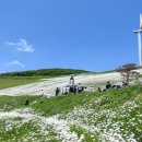 육백마지기 이미지