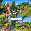 생놀농장 | 제주 감귤체험 카페 농장 추천 아이와 가볼만한 곳 보메와산