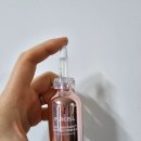 스위스퍼펙션주 이미지