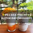 일산 고양 카페 배다골베이커리하우스 생망고 시즌 후기