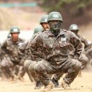 와일드인터내셔널 | 그렇게 많은 자격이 필요해? 비범함에?